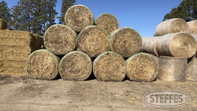 (31 Bales) 5x6 rounds